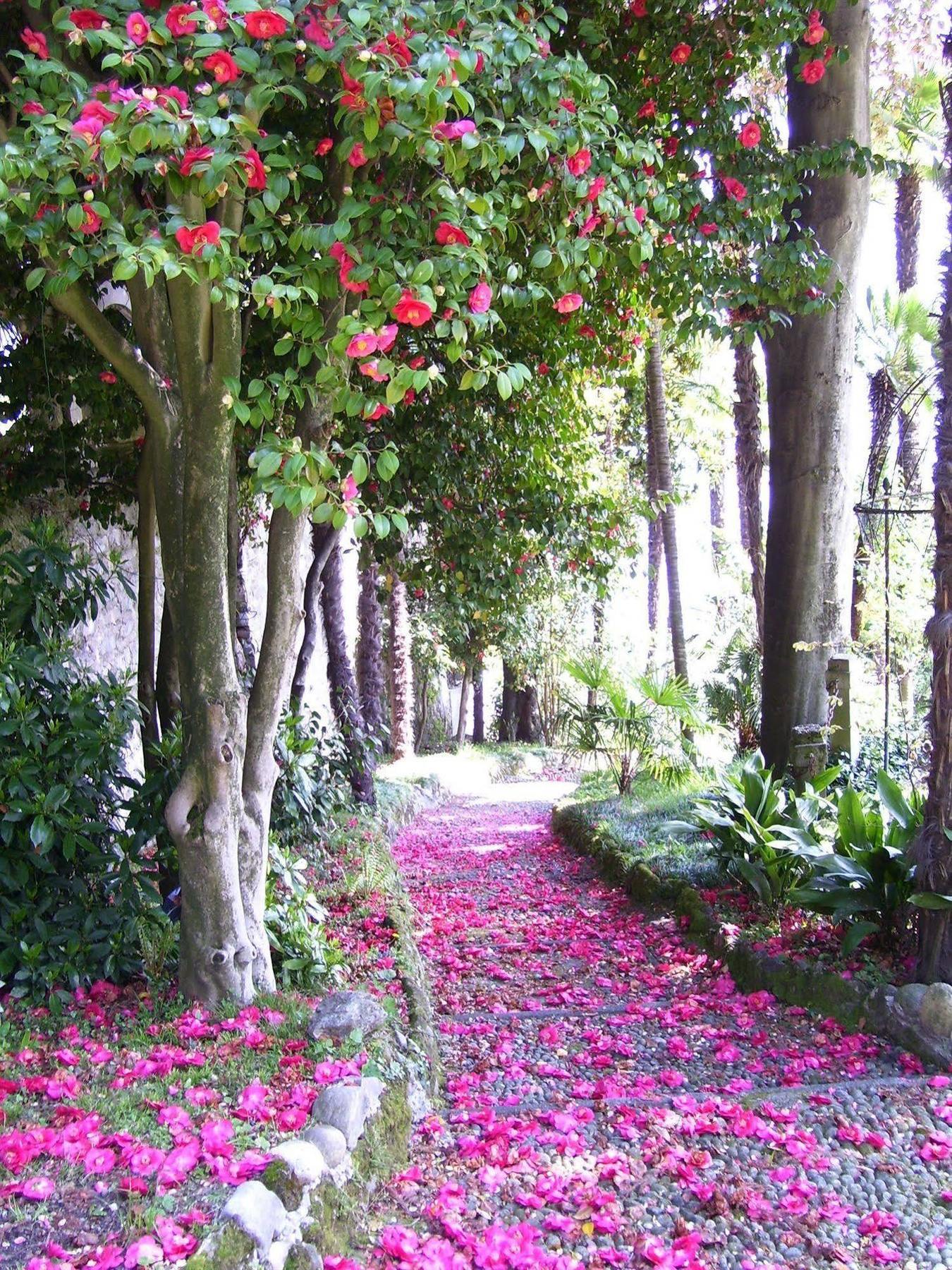 Cadenabbia Villa La Mirabella מראה חיצוני תמונה